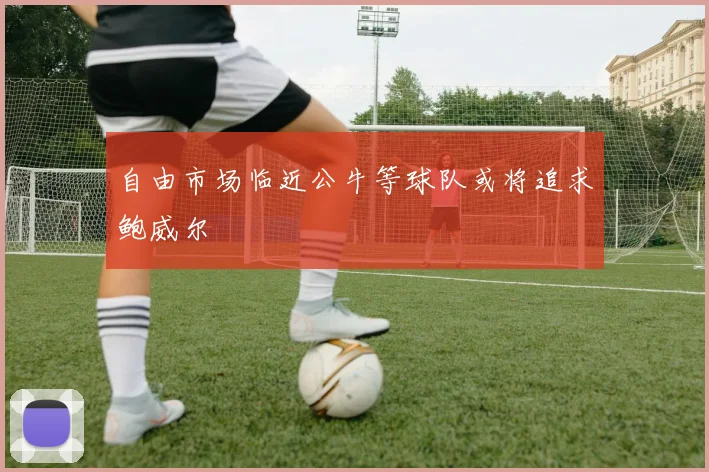 自由市场临近公牛等球队或将追求鲍威尔
