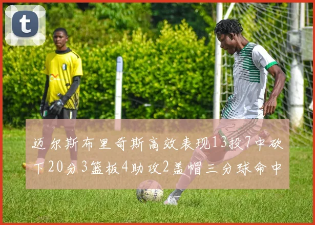 迈尔斯布里奇斯高效表现13投7中砍下20分3篮板4助攻2盖帽三分球命中率出色