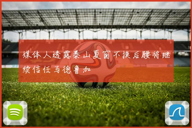 媒体人透露泰山夏窗不换后腰将继续信任马德鲁加