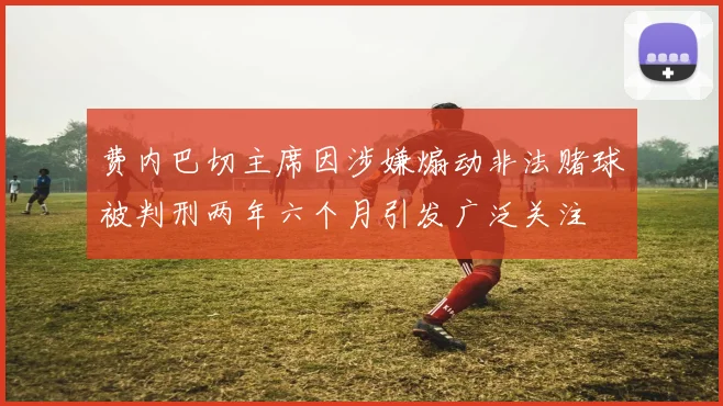 费内巴切主席因涉嫌煽动非法赌球被判刑两年六个月引发广泛关注
