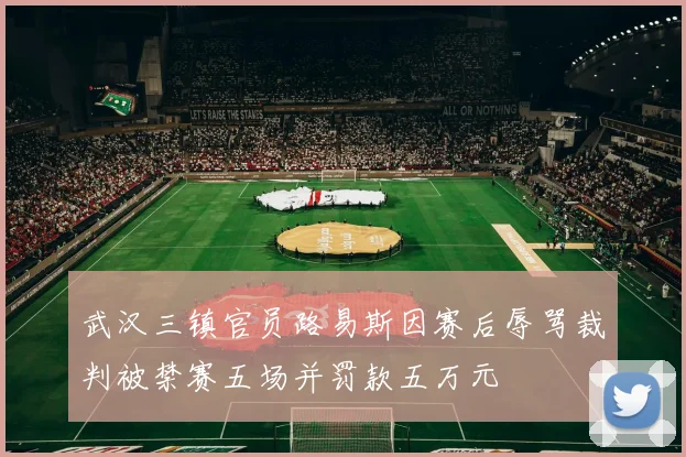 武汉三镇官员路易斯因赛后辱骂裁判被禁赛五场并罚款五万元