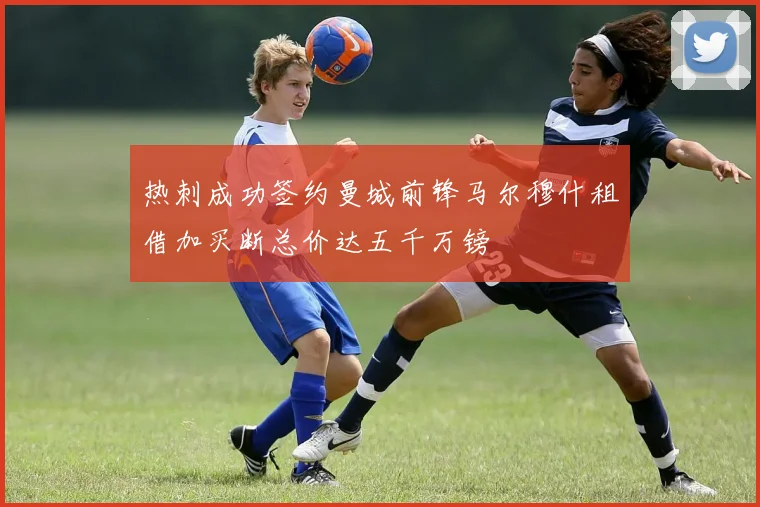 热刺成功签约曼城前锋马尔穆什租借加买断总价达五千万镑