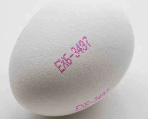 Inkjet printer improves coding-related uptime and traceability in egg market
